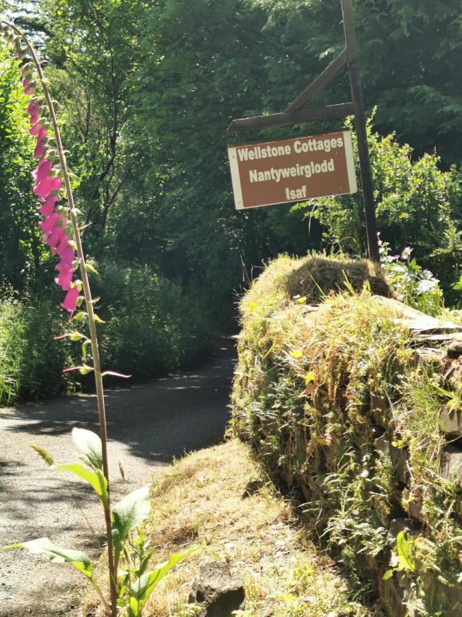 Wellstone Cottages - Ivy Llanfyrnach Exteriör bild